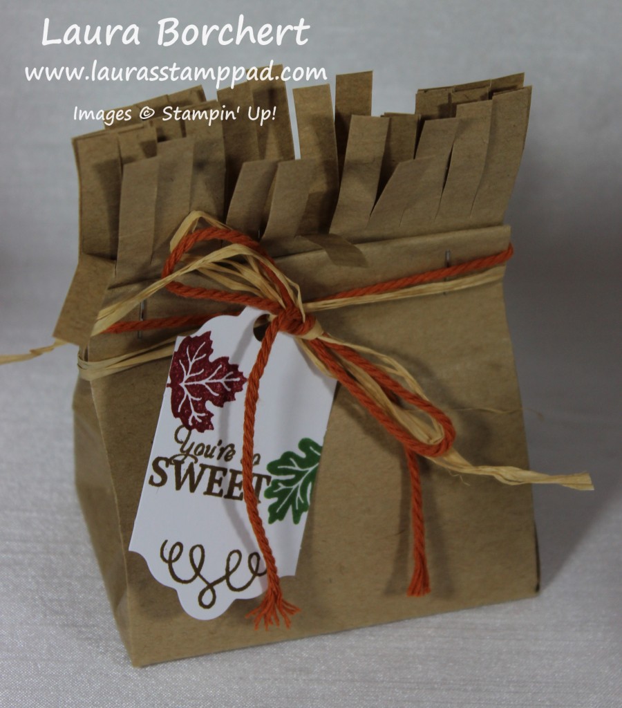 Mini Lunch Bag, www.LaurasStampPad.com