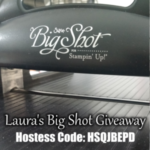 Big Shot Code:HSQJBEPD, www.LaurasStampPad.com