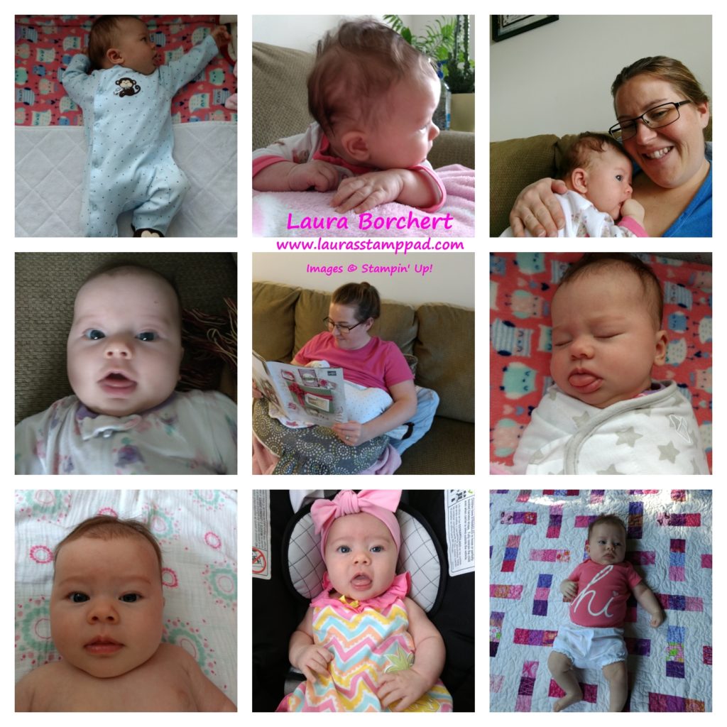 Claire Is 3 Months Old Already, www.LaurasStampPad.com