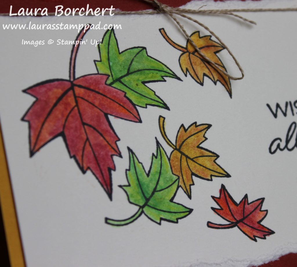 Blended Seasons Fall Leaves, www.LaurasStampPad.com